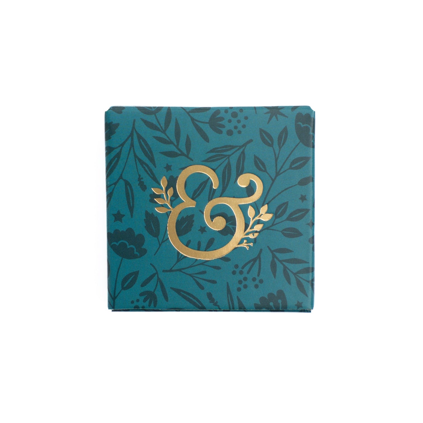 Replacement Acrylograph Nibs (set of 10)