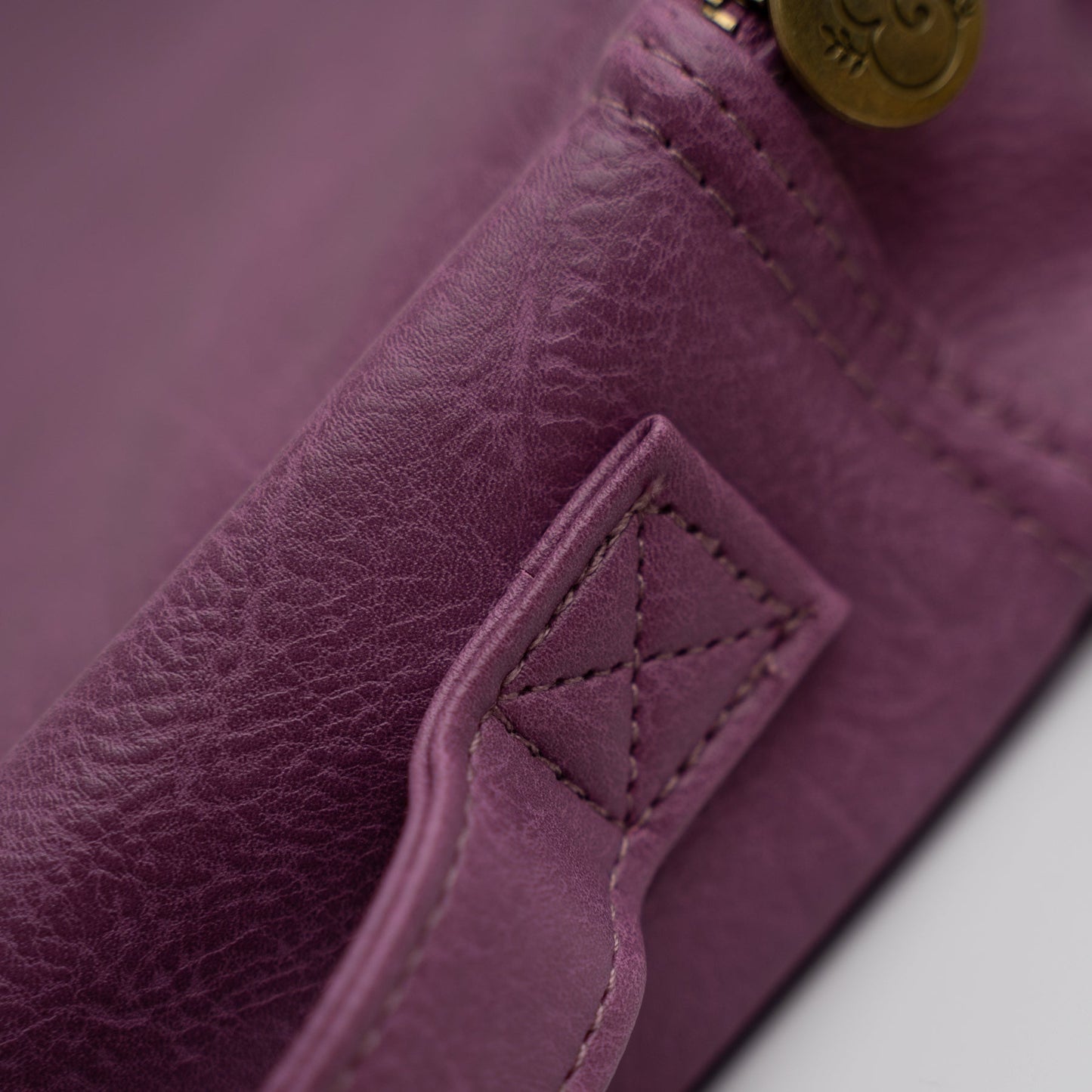 Plum Creativity Case