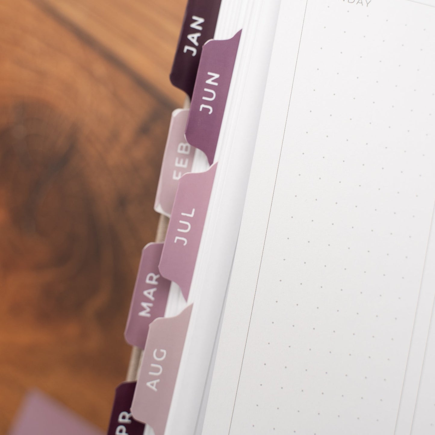 Vinyl Planner Tabs - Songbird