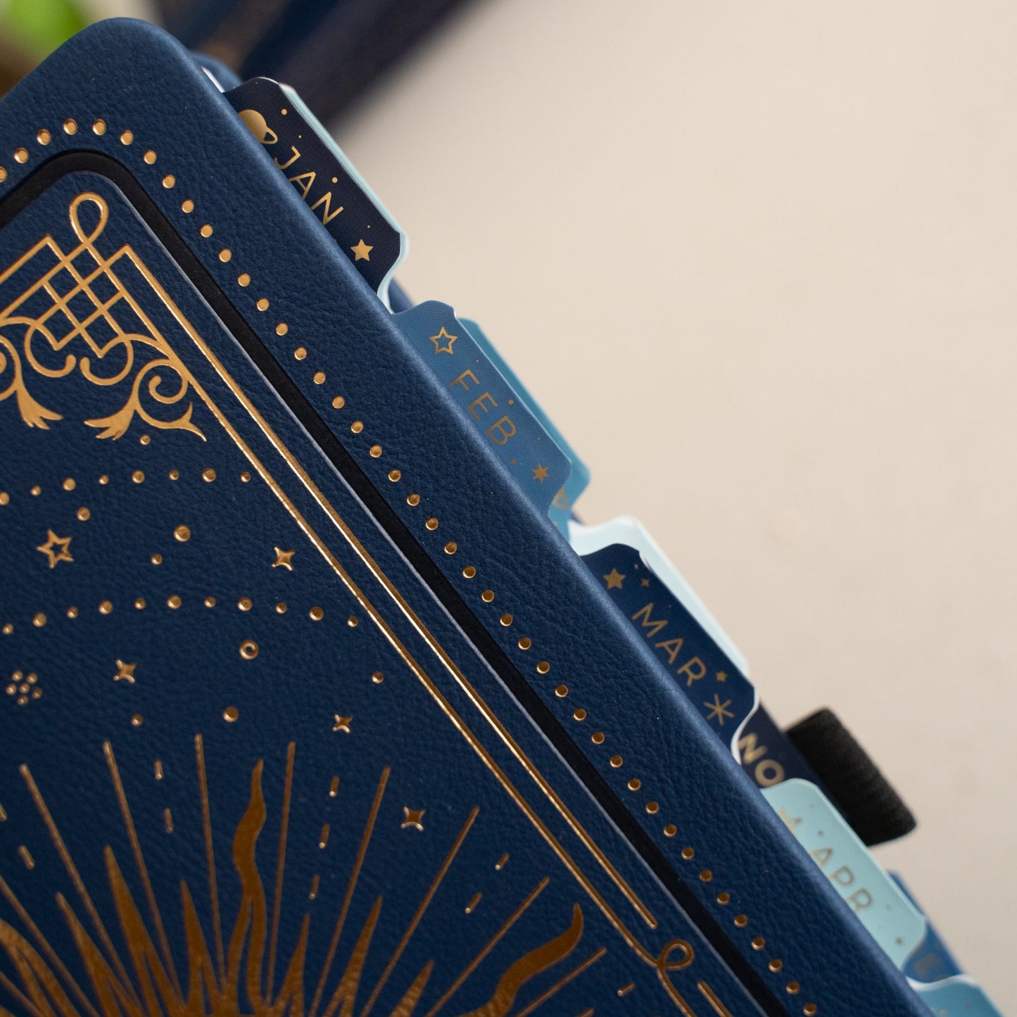 Vinyl Planner Tabs - Majestic Skies