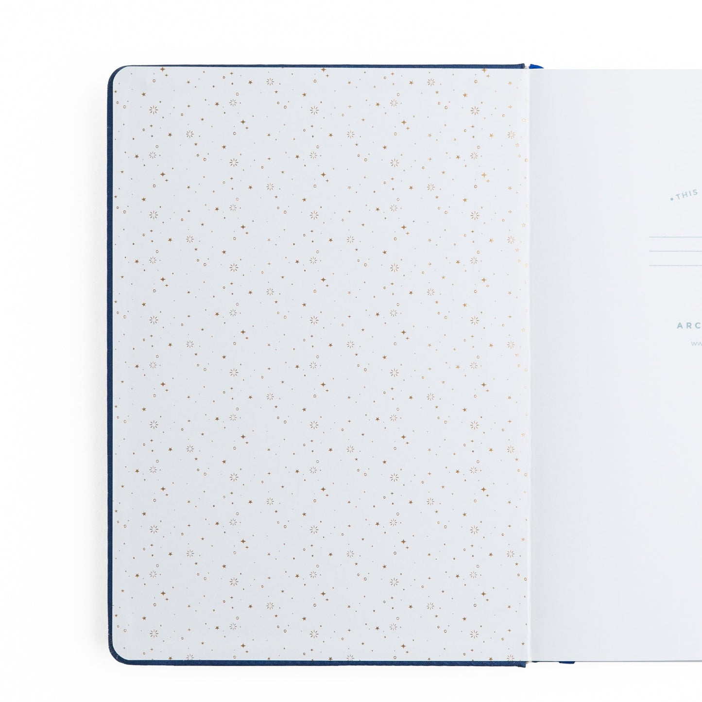 B5 Firefly Night: Dot Grid Notebook