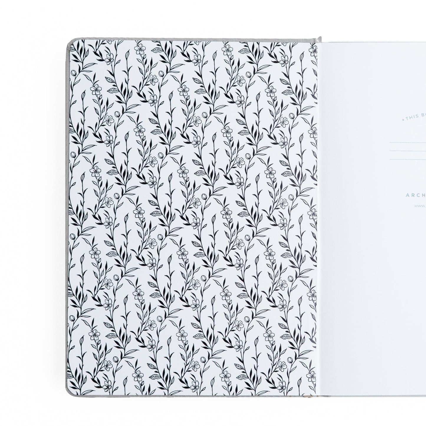 A5 Radiant Raccoon: Lined Notebook